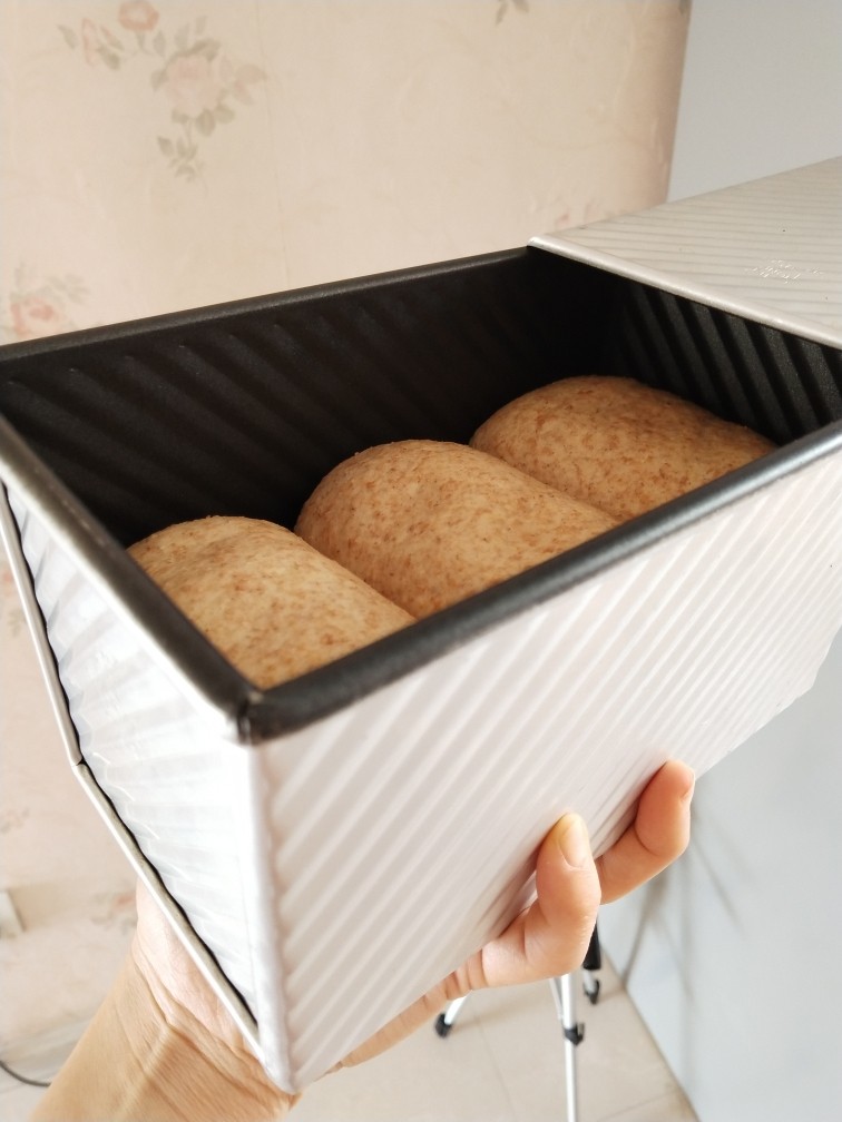 纯全麦～裸麦面包
(王后全麦面粉),发酵好的面包大概也就到模具的一半或者6 7分满，因为无筋度面团的膨胀性很差，无所谓因为我们要的就是纯全麦