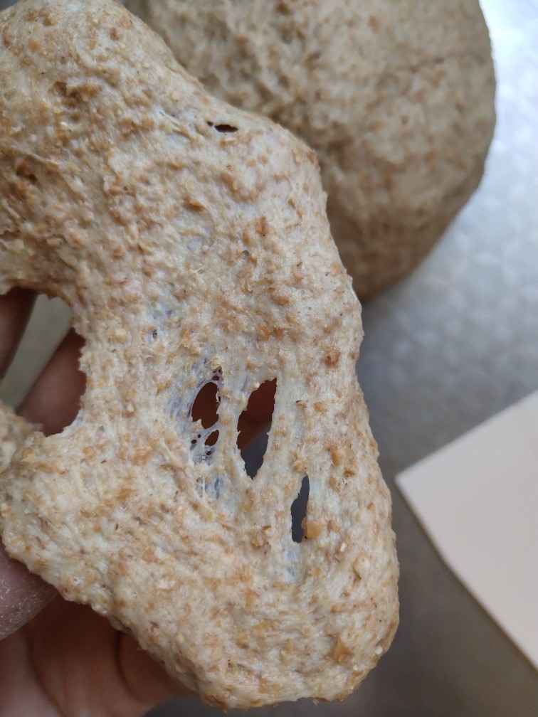 纯全麦～裸麦面包
(王后全麦面粉),揉到基本带点张力即可，因为纯全麦粉筋度非常低，而且不加高筋粉是揉不出手套膜的