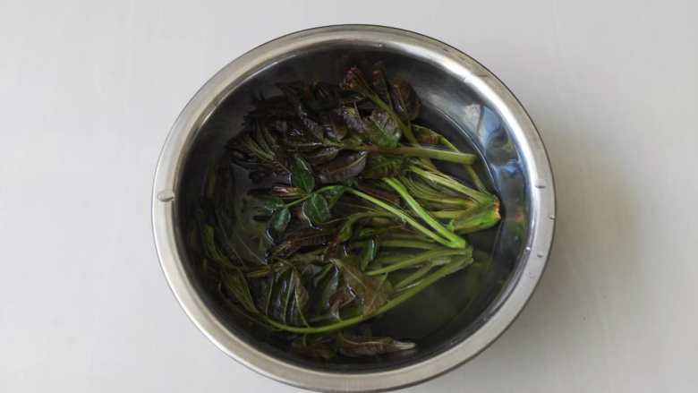 再不吃它就老了, 香椿除了炒鸡蛋还可以这样吃,先把香椿用清<a style='color:red;display:inline-block;' href='/shicai/ 156925'>水</a>洗干净,多洗几遍
