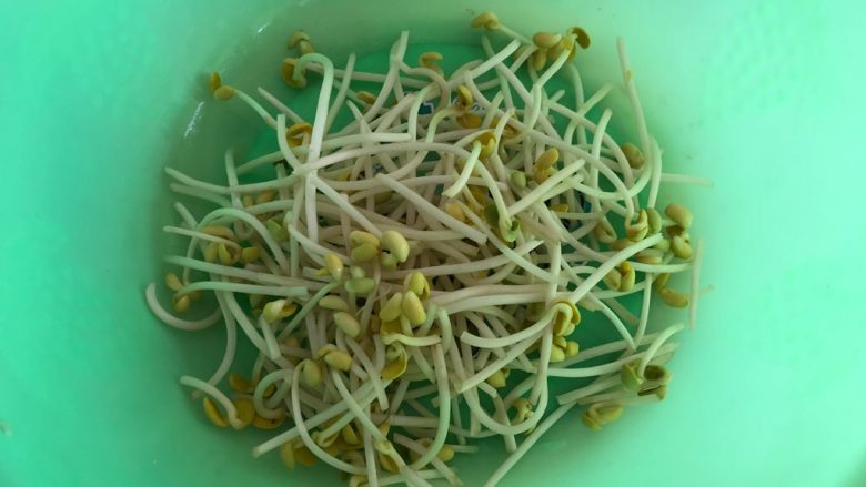 油豆腐黄豆芽炖鱼尾,黄豆芽去尾,摘干净