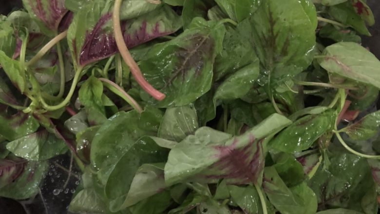 盐水青菜,翻滚几下