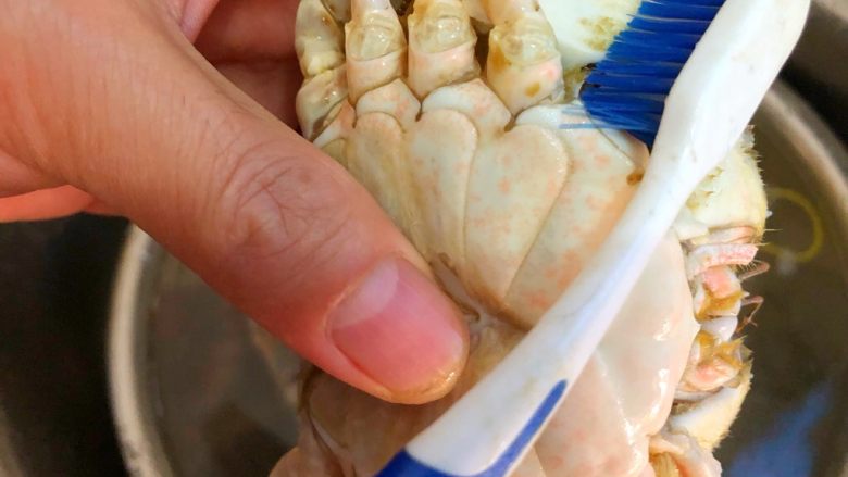 葱姜炒蟹,用刷子把三眼蟹表面刷干净,剪掉腹腔