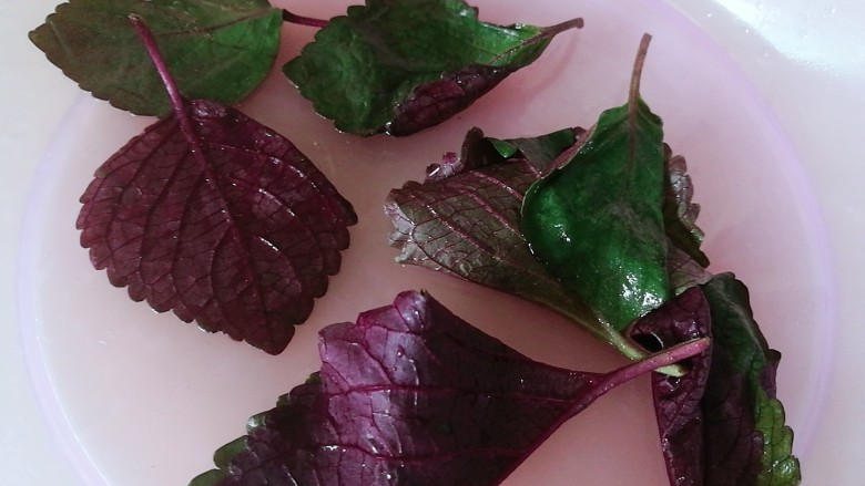 快手菜,空气炸锅版紫苏排骨,烤排骨的同时,将新鲜<a style='color:red;display:inline-block;' href='/shicai/ 80877'>紫苏叶</a>洗净沥干