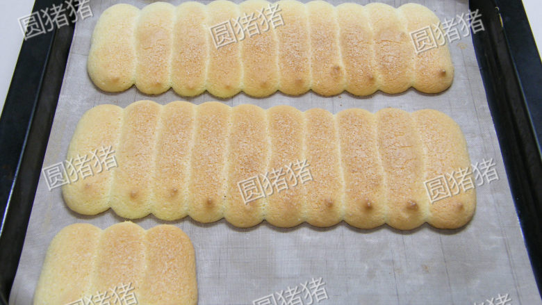 鲜果夏露蕾特,烤箱200度预热,中层烘烤约8-10分钟,至表面上色。烘烤完成后不要急于移动,弯折。在表面再覆盖上纸张,在常温中冷却,待吸收了空气中的水份变软才移动,弯折。