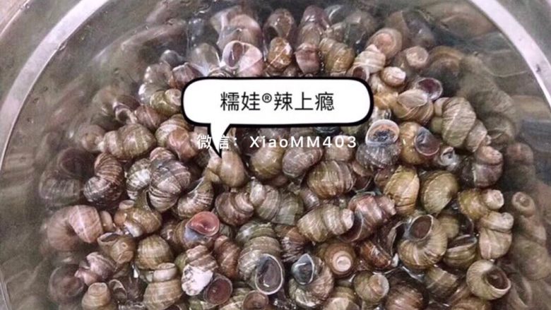 香辣田螺,以前将精选好的田螺用清水浸泡吐沙后洗干净,烧水煮开,盛出沥水