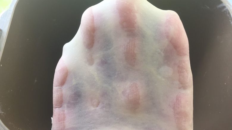 起酥小面包,揉好的面团切下一小块,可以撑出手套膜即可