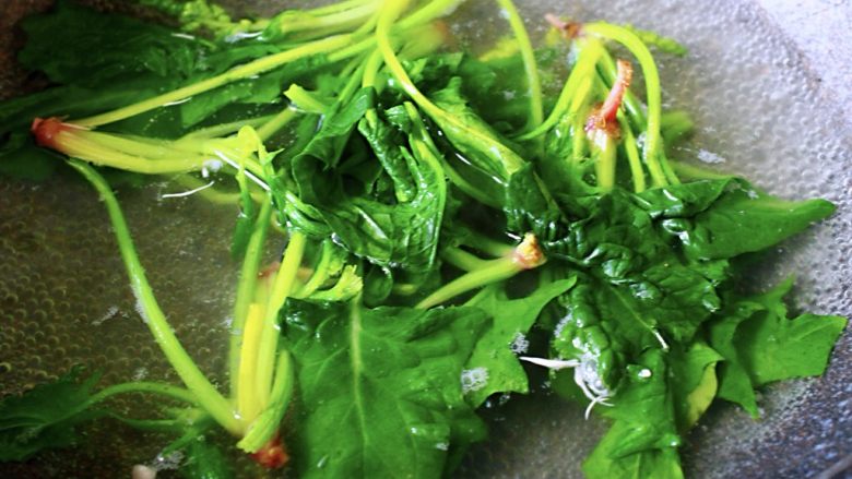菠菜白玉菇虾皮汤,买菠菜要选这种红根的,比白根的营养更丰富,味道也要更好一些,菠菜洗净后焯水沥干水分备用
