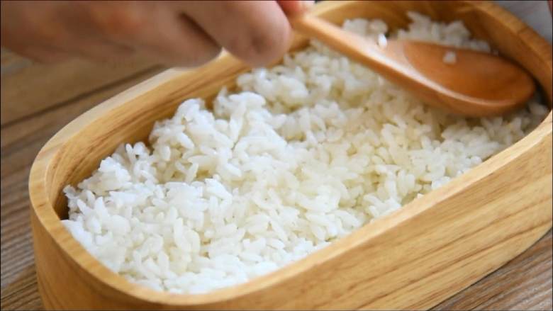 出游便当盒—带上便当野餐去啊,便当盒盛入米饭,铺平。