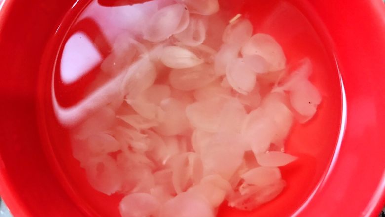 养颜羹,泡发好的皂角米换水备用(水量刚好没过食材)