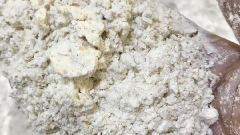 麦麸馒头南瓜馒头,可以看见麦麸吗?等下加水麦麸发大了就会很明显了