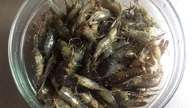 醉虾 —— 夏日极品 鲜美无比,把洗干净的河虾沥干水,倒入容器中