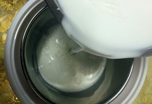 网红鲜果炒酸奶,<a style='color:red;display:inline-block;' href='/shicai/ 8840'>自制酸奶</a>:将纯牛奶,菌粉,细砂糖,充分搅拌融合,倒入酸奶机中