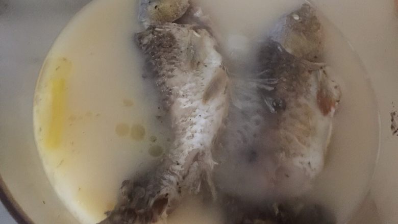 鲫鱼萝卜汤,鱼汤大火烧后,小火慢炖,直到汤水变成奶白色。