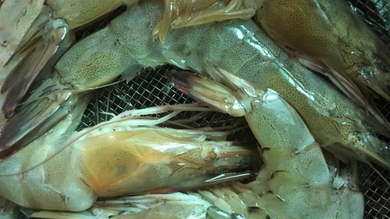 碧翠虾🦐饼,新鲜<a style='color:red;display:inline-block;' href='/shicai/ 300'>虾</a>，建议冰一下，壳会容易去掉一些。