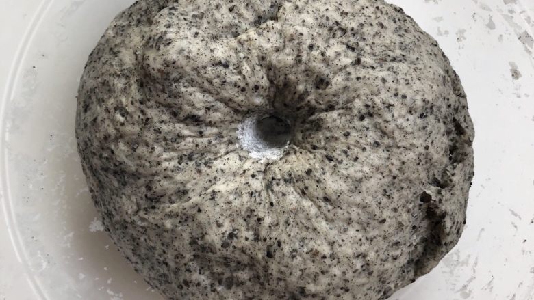 黑芝麻牛奶刀切,手指蘸取少许面粉插入面团,凹坑不反弹不下陷,即发酵完成