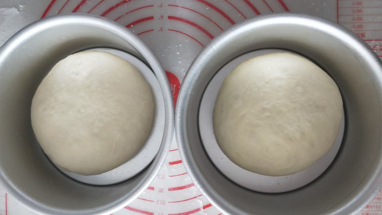 网红奶酪包,8、滚圆,放入6寸的戚风模具内(模具里面提前用黄油抹一遍,防粘)