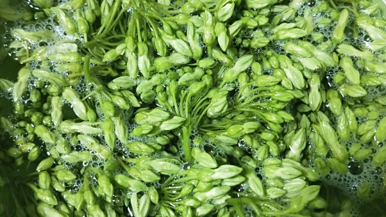 上汤夜来香(纯素低脂),用美乐家蔬果净浸泡祛除异物和农残15分钟,沥干待用。