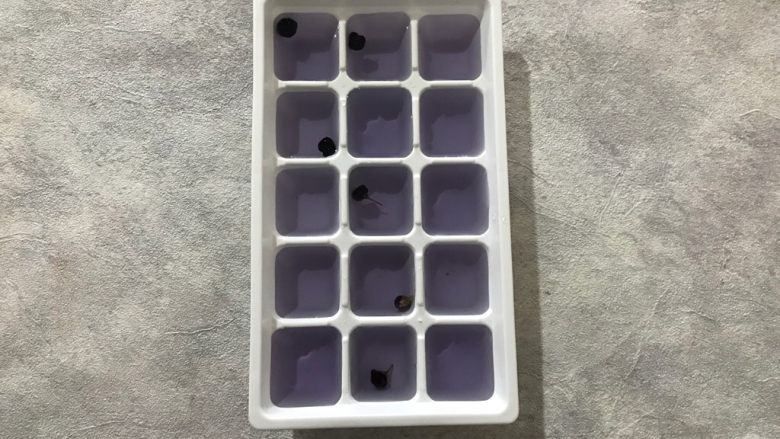 梦幻薄荷黑枸杞雪碧特饮,也可以用勺子兜进去,然后放入冰箱冷冻