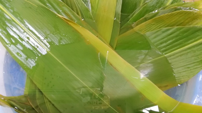 杂豆蜜枣小米粽,新鲜的粽叶提前清洗几次,然后用开水烫一下