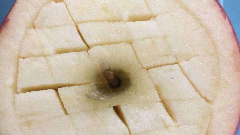 苹果薯条,挖出果肉。