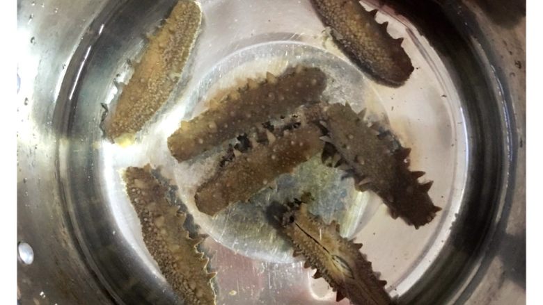 野生淡干海参泡发全过程,准备一个干净无油的煮锅,放入干净的海参,加入纯净水