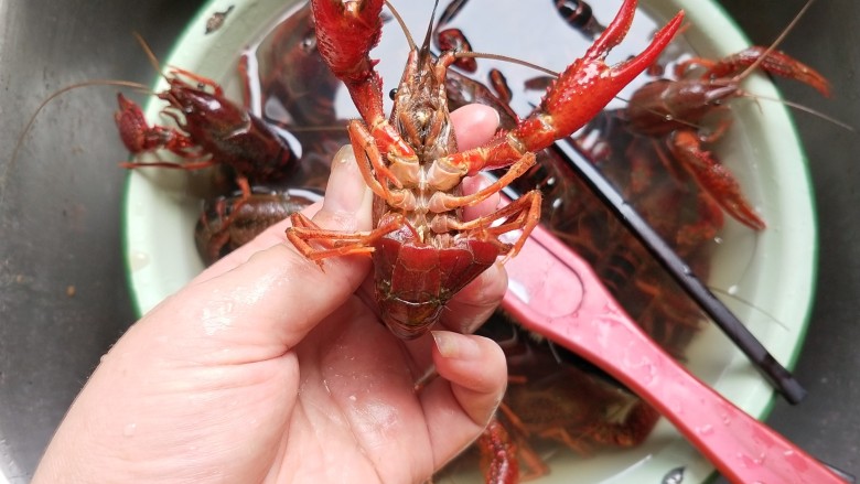 啤酒小龙虾,用厨房剪将小龙虾的触须,小爪子,剪去,去除虾肠,用刷子刷一刷。