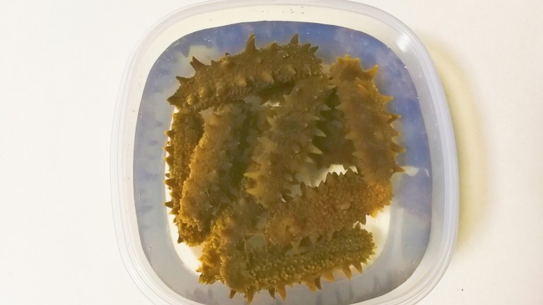 热水瓶水发海参,倒出来洗净放入自来水继续泡发24小时,中途换两次水