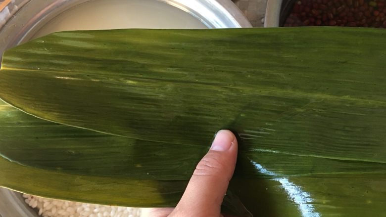红枣粽子,前一天晚上准备好,第二天一早就可以包了,粽叶取两到三片,大的两片,小的三片,如图排好,剪掉头部的硬梗儿,尾部重合