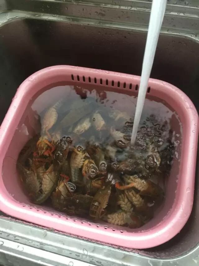 啤酒麻辣小龙虾,全部虾剪完以后,将水开大,将龙虾像洗菜那样清洗干净。(这一步一定要清洗得很干净,因为再接下来的步骤因为要保证虾黄不要流失,不再适合大幅清洗了)
