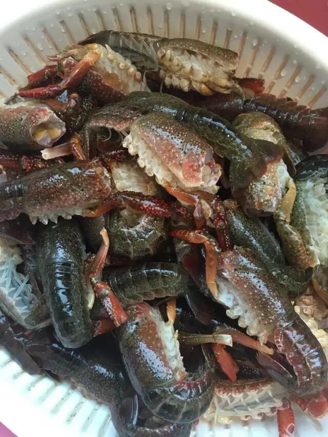 啤酒麻辣小龙虾, 最后泡在水里稍稍清洗一下,这次清洗时间不要太长了,否则虾黄容易流出不说,虾肉也容易烂掉。
清洗完毕,捞出沥干。