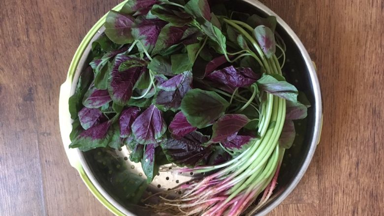 蒜蓉苋菜,苋菜用清水泡10分钟,然后清洗干净,沥干水分。
清洗叶子时动作要轻,叶子很薄,容易破损。