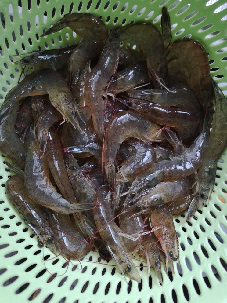 油泼虾,<a style='color:red;display:inline-block;' href='/shicai/ 293'>基围虾</a>冲洗干净
稍微沥下水