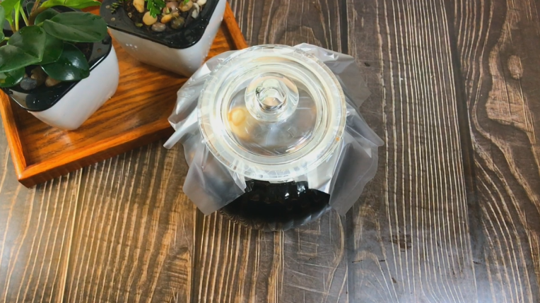 糖醋蒜,再把盖子盖好,这样更密封,如果你们的密封罐够好,就不要这样了。