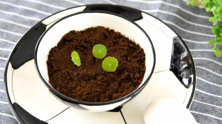 世界杯看球前,动手来一道美食甜点提提神——奥利奥盆栽,再铺上奥利奥碎,绿植点缀即可