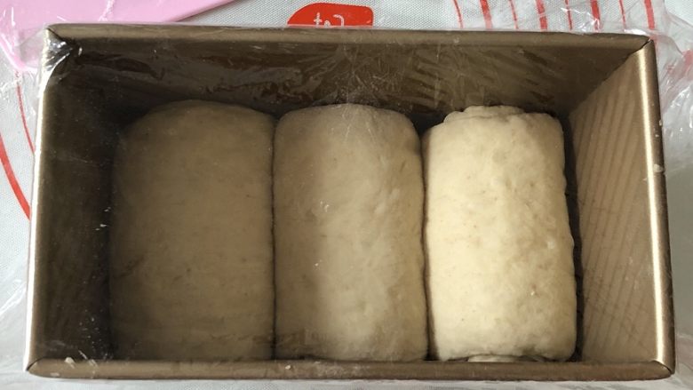 全麦胚芽吐司,从上往下卷起,摆入吐司盒,盖上保鲜膜二次发酵