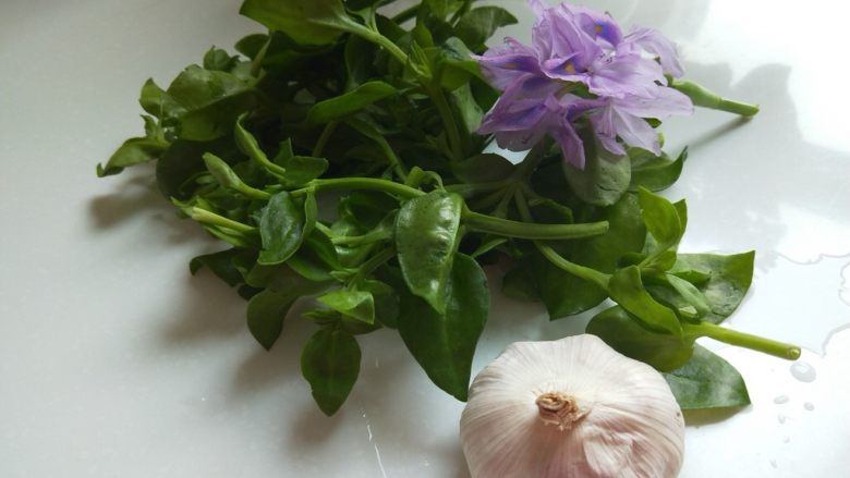 蒜蓉凉拌穿心莲,准备食材,穿心菜和大蒜