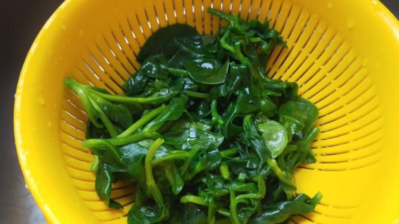 蒜蓉凉拌穿心莲,洗干净用开水烧一下就可以了,不用锅