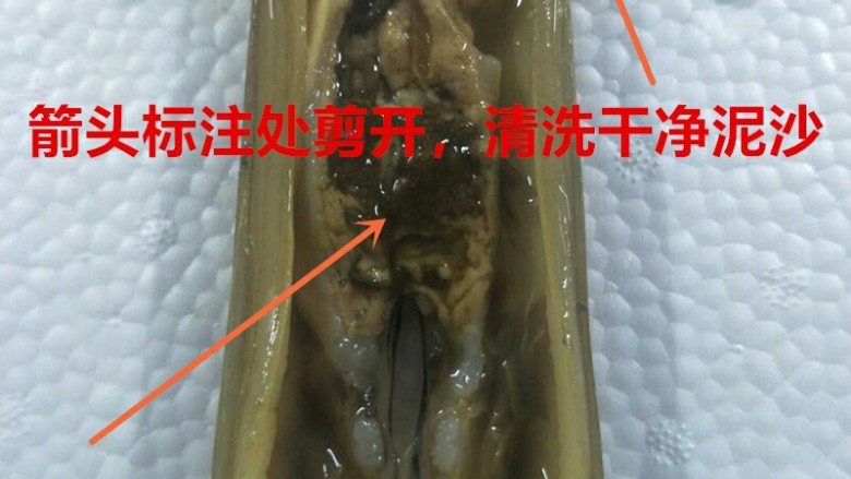 红烧铁蛏子,清