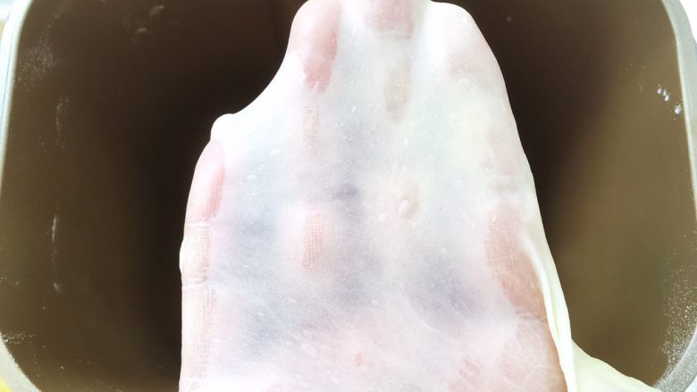 麻酱核桃手撕包,揉好的面团切下一小块放入，可以撑出有弹性的手套膜即可