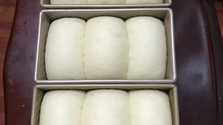 中种蜜豆吐司(玉米油板)
,送进发酵箱温度在35度湿度保持在80%左右,发酵九分满。