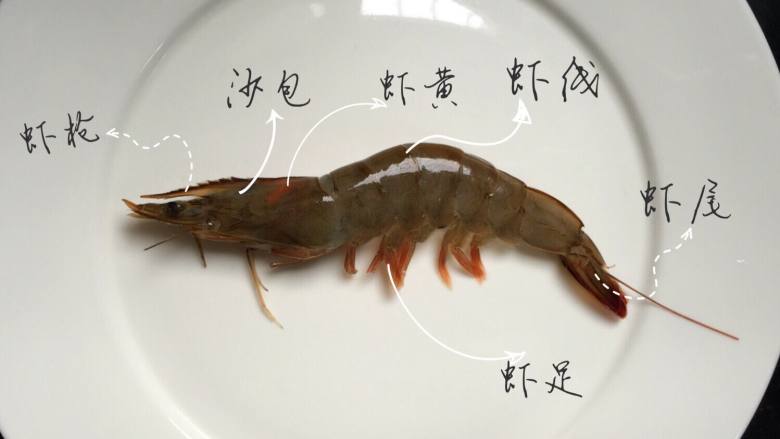 超正宗的油焖大虾,洗净的虾剪去虾足、虾须、虾枪,然后把虾枪部位的小沙包(是一个近似三角形的囊状物体)一并用剪刀挑出来,沿着虾枪根部,剪去虾头
参考图