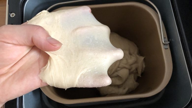 全麦胚芽葡萄软欧,打至10分筋,出手膜,这个面团有全麦粉和胚芽粉不会出很薄的膜