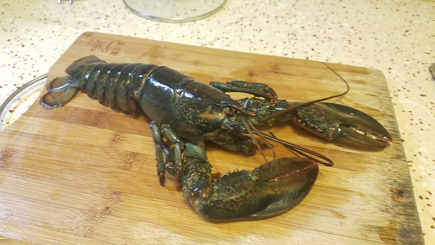 鲜味龙虾