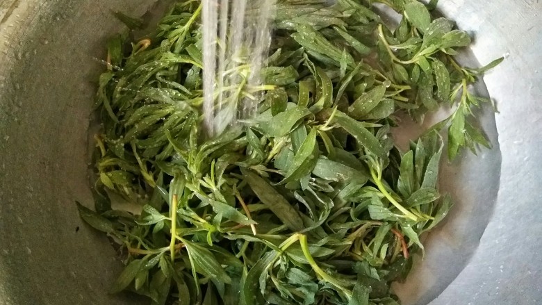 忆苦思甜的野菜扒拉,将面条菜掐嫩尖去老梗，过清水洗去浮尘（多洗几遍）。