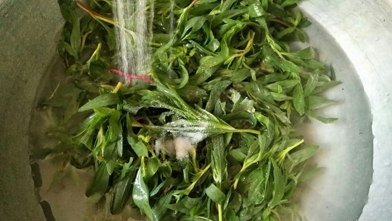 忆苦思甜的野菜扒拉,然后在水中加3克盐,将面条菜浸泡在盐水中10-15分钟后冲静。