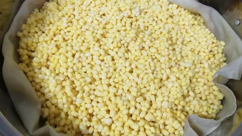 蔓越莓绿豆糕,蒸锅内放水放篦子,铺上笼布,将泡好的绿豆放在笼布上,适当撒一点水(要不然蒸出来的绿豆有点干),凉水上锅,上汽后蒸半个小时。