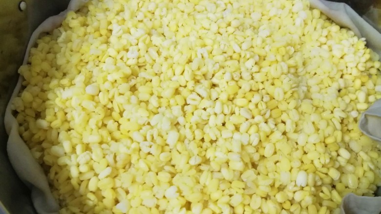 蔓越莓绿豆糕,半个小时以后,绿豆蒸好了。