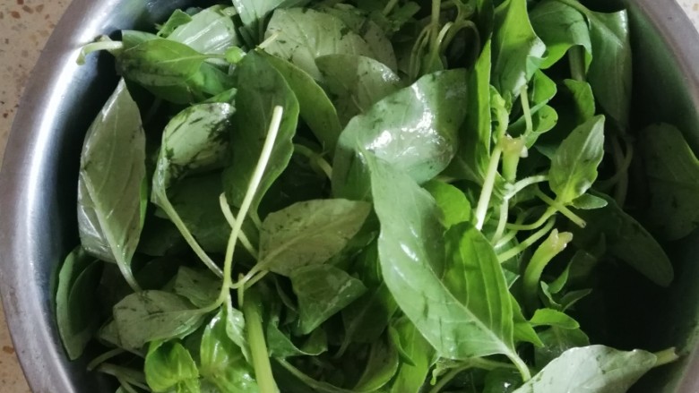 凉拌荆芥,先加入<a style='color:red;display:inline-block;' href='/shicai/ 847'>香油</a>拌好，让每个叶子都沾上<a style='color:red;display:inline-block;' href='/shicai/ 847'>香油</a>，否则叶子会蔫，不好看