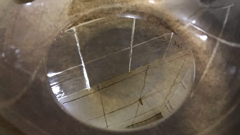 碧簪银芽公鱼干,起油锅,热锅凉油