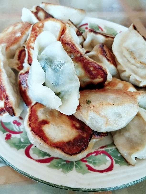 野菜人就菜馅大饺子
